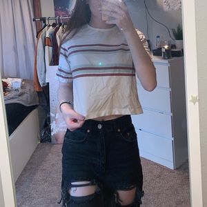 Zumiez cropped tee